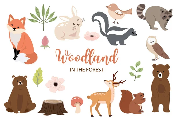 Cute woodland object collection with bear, rabbit, fox, skunk, mushr — стоковый вектор