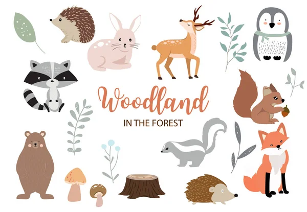 Cute woodland object collection with bear, rabbit, fox, skunk, mushr — стоковый вектор