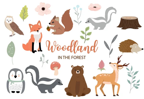 Cute woodland object collection with bear, owl, fox, skunk, mushroom — стоковый вектор