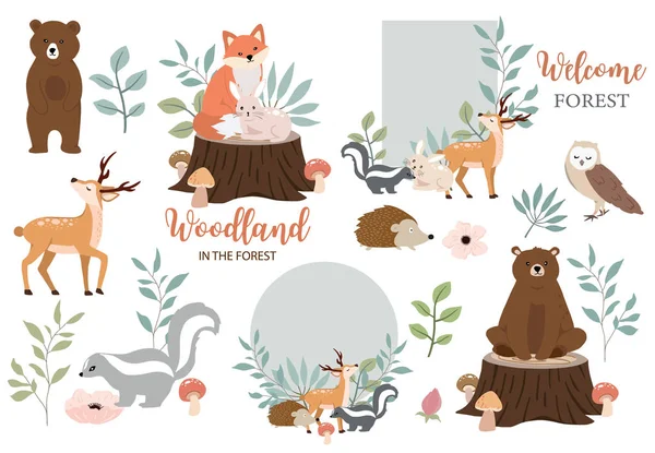 Cute woodland object collection with bear, owl, fox, skunk, mushroom — стоковый вектор
