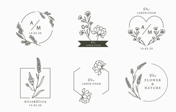 Yapraklı Siyah Çiçek Logosu Koleksiyonu Geometrik Simge Logo Çıkartma Yazdırılabilir — Stok Vektör