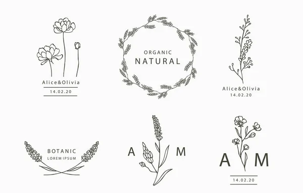 Coleção Logotipo Flor Preta Com Folhas Geometric Vector Ilustração Para —  Vetores de Stock