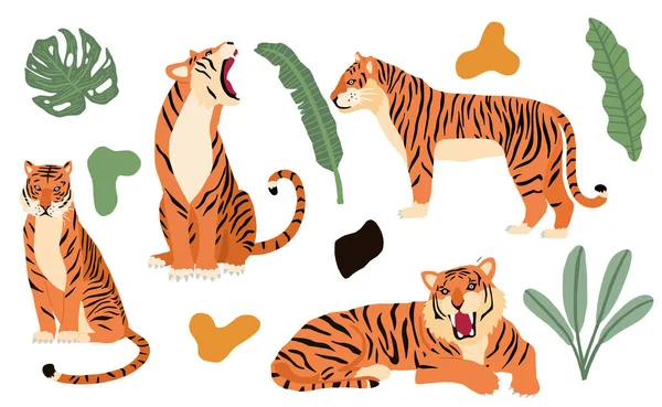 Linda Colección Objetos Animales Con Leopardo Tigre Illust Para Icono — Vector de stock