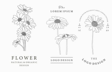 Ayçiçeği, yaprak, geometrik içeren siyah çiçek logosu koleksiyonu. Simge, logo, çıkartma, yazdırılabilir ve dövme için vektör illüstrasyonu