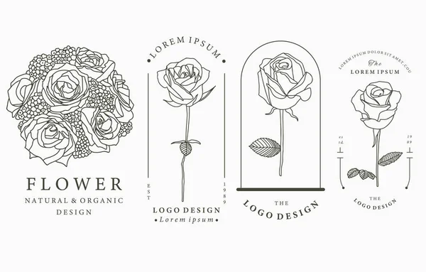 Schwarze Blume Logo Kollektion Mit Rose Blättern Geometrie Vektorillustration Für — Stockvektor