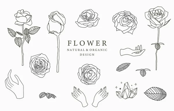 Colección Logotipo Flor Negra Con Rosa Hojas Geométrica Vector Ilustración — Vector de stock