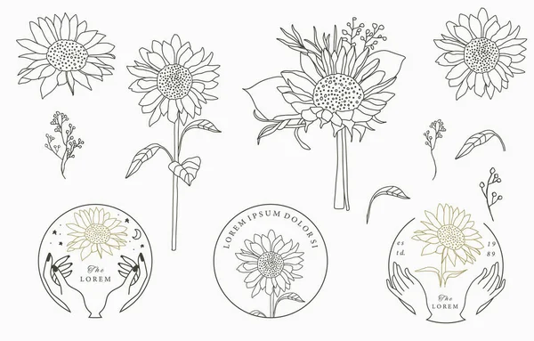 Svart Guld Blomma Logotyp Samling Med Blomma Blad Geometri Vektor — Stock vektor