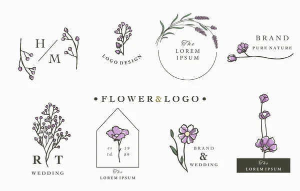 Blume Logo Kollektion Mit Blättern Geometrischen Kreis Quadratischen Rahmen Vektor — Stockvektor