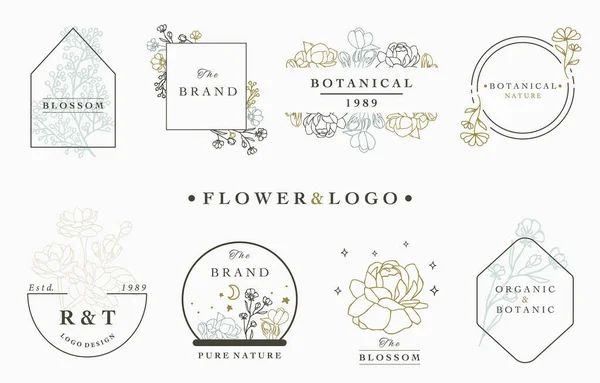 Συλλογή Λογότυπων Λουλουδιών Φύλλα Γεωμετρικό Κύκλο Τετράγωνο Πλαίσιο Εικονογράφηση Διάνυσμα — Διανυσματικό Αρχείο