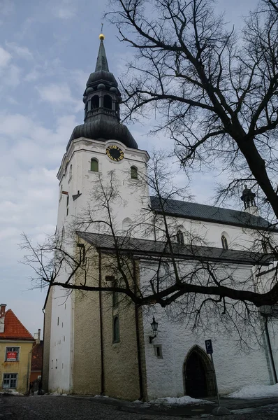 Igreja da Cúpula (Catedral de Santa Maria Virgem). Tallinn, Eston — Fotografia de Stock