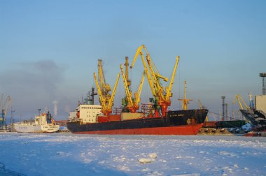 Gemi ve buz ve kar ile kaplı Vinçler içinde kargo port St. Petersburg kış zamanında