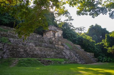 Palenque 'deki Maya harabeleri, Chiapas, Meksika.