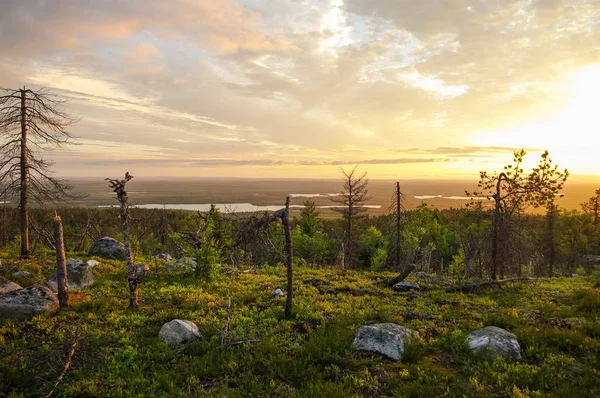 Zonsondergang op de taiga bos en meren van berg Vottovaara — Stockfoto