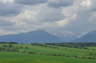 Çayırlar ve yüksek Tatras doruklarına panorama arka plan üzerinde. Presov Reg