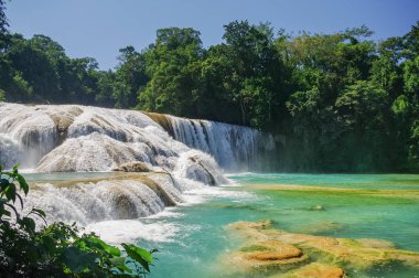 Cascadas de Agua Azul waterfalls. Agua Azul. Yucatan. Mexico clipart