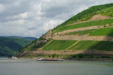 Kargo gemisi, ortaçağ kale (kale) Ehrenfels ve üzüm bağları Rhine Nehri banka, yamacında Ruedelsheim, Hessen, Almanya