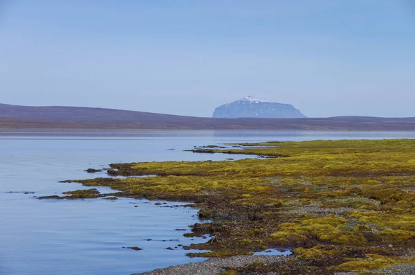 Río Higrhlinds cerca del volcán Snaefell, Islandia — Foto de Stock