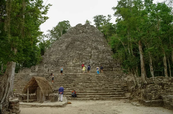 在 Coba 玛雅金字塔的废墟。墨西哥. — 图库照片