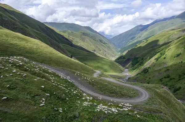 Yılan gibi yol geçiş koyun. Dağ Vadisi Datvisjvari Pass, Georgia, Avrupa'nın üstten Panoraması — Stok fotoğraf