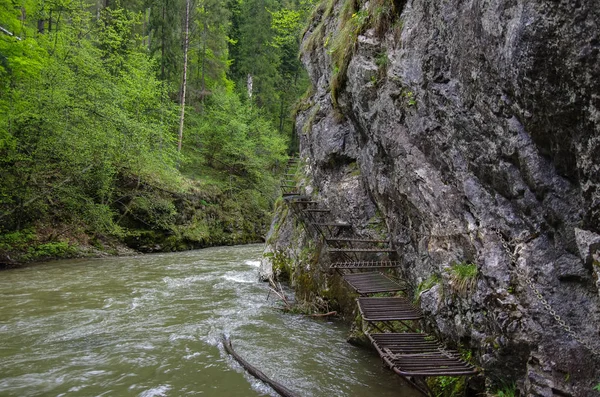 Dangerous trail along the Hornad river (using Via Ferrata), Slovak Paradise National Park,Slovakia — Stock Photo, Image