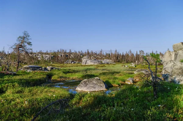 Kleine moeras bovenop de berg Vottovaara met stenen en dode bomen, Karelië — Stockfoto