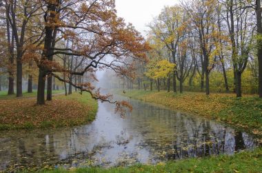 Altın sonbahar renkli yaprakları ile. Puşkin City, St.Petersburg, Rusya'nın banliyösü Alexander Park kanalda üzerine sis.