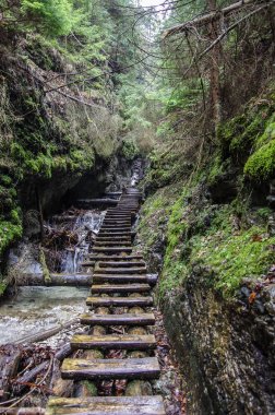 Hiking trail karşısında nehrin Slovak cennet Milli Parkı, Slovakya