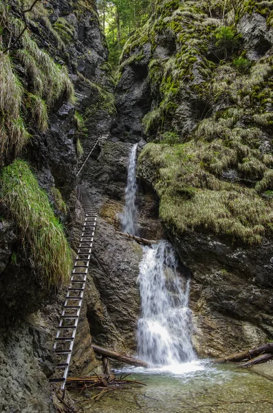 Dangerous trail şelale (Via Ferrata kullanarak), Slovak cennet Milli Parkı, Slovakya