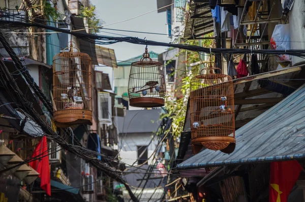 Sokaklar Hanoi eski çeyrek kafeslerde kuş. Vietnam