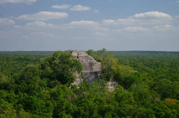A piramisszerű felépítése az összetett 1 emelkedik, mint a dzsungel Calakmul, Mexikó — Stock Fotó