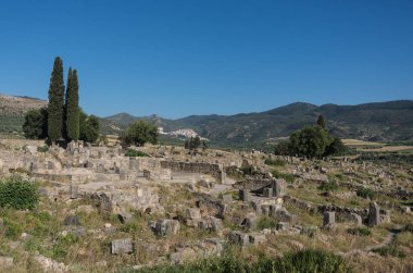 Volubilis, Meknes Tafilalet, Fas'ta Roma Harabeleri