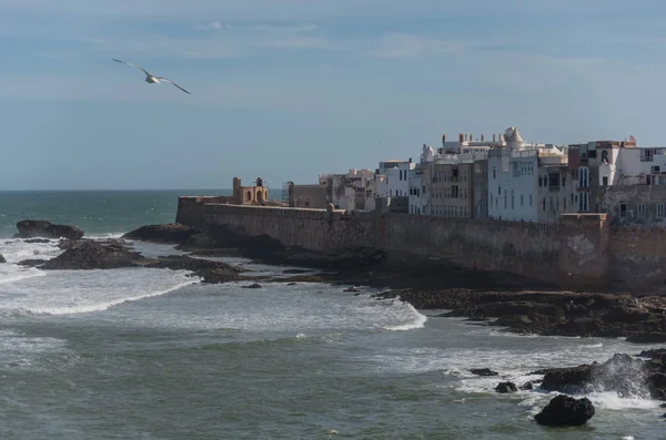 Vista a la antigua ciudad de Essaouira rampante y el océano desde Scala du Port (Skala del Norte) fuerte con gaviotas en primer plano, Mugadur, Marruecos — Foto de Stock