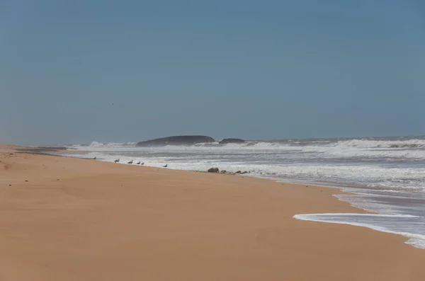サフィの町の近くの中央モロッコの大西洋砂ビーチ. — ストック写真