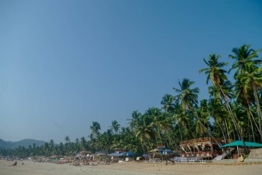 Tropikal plaj Palolem Köyü, devlet Goa, Hindistan