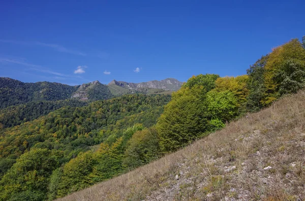 Панорама ліс і скелі Діліжанський національний парк, Вірменія — стокове фото