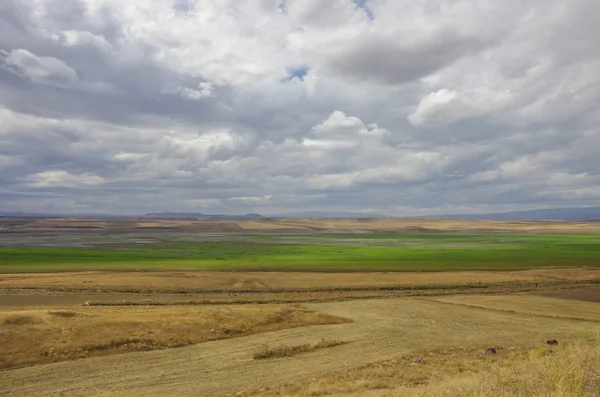 トルコとアルメニアの国境の Arpacay (Akhourian) resrvoir。ビュー フォーム アルメニア側. — ストック写真