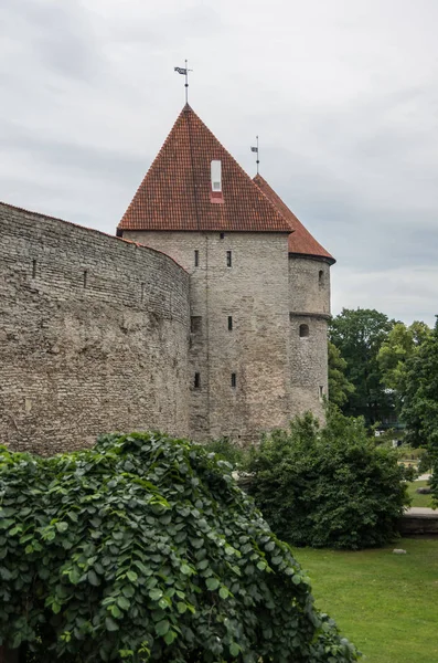 O muro e as torres do Museu-Café da Torre de Donzela (Museu Neitsitorn) em Tallinn, Estónia — Fotografia de Stock