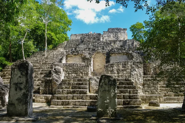 Treptele scărilor piramidale. Structura 1 în complex se ridică peste jungla din Calakmul, Mexic — Fotografie, imagine de stoc