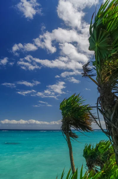 Viento en la costa del Mar Caribe, México. Riviera Maya — Foto de Stock