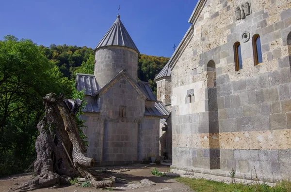 Gamla Haghartsin kloster ligger nära staden Dilijan, i en trädbevuxen dal. — Stockfoto
