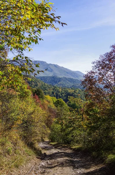 Estrada da sujeira thru Parque Nacional de Dilijan, Armênia — Fotografia de Stock