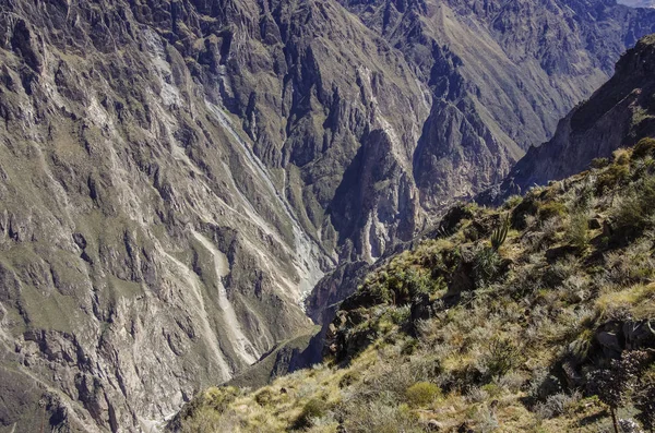 Cañón del Colca cerca del mirador Cruz Del Cóndor. Región de Arequipa, Perú, América del Sur . — Foto de Stock