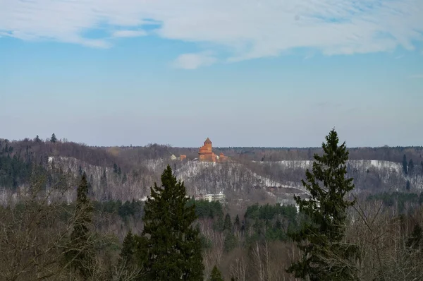 Panoramatický výhled ti Turaida hrad a kaňon řeky Gauja. Hrad Turaida je nedávno zrekonstruovaný středověký hrad ve Vidzemském kraji v Lotyšsku, Sigulda. — Stock fotografie