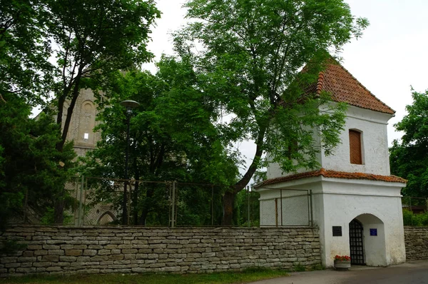 Entrada para o convento medieval de St. Birgitta em ruínas na região de Pirita, Tallinn, Estónia — Fotografia de Stock