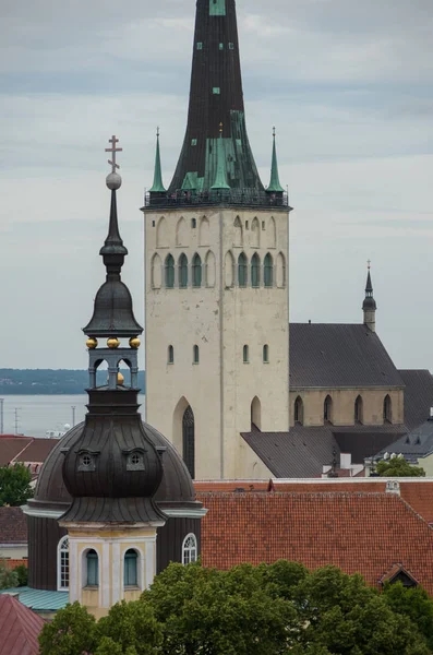 Vista de la Iglesia de San Olaf en Tallin, Estonia. La aguja tiene 123.8 metros de altura . — Foto de Stock