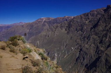 Colca Kanyonu yakınlarında Cruz Del Condor bakış açısı. Arequipa bölge, Peru, Güney Amerika.