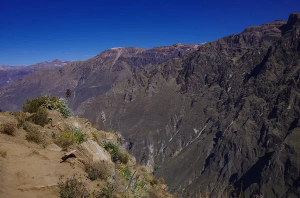 Kanion Colca Pobliżu Cruz Del Condor Punktu Widzenia Arequipa Regionu — Zdjęcie stockowe
