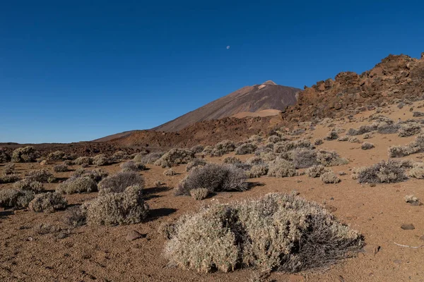 Marsianskt Landskap Östra Sluttningarna Montana Blanca Mirador Las Minas San — Stockfoto