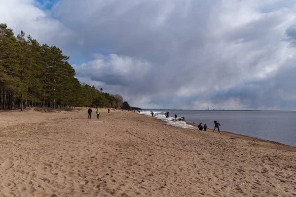 Mensen Lopen Kust Van Finland Golf Het Vroege Voorjaar Komarovo — Stockfoto