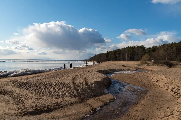 Mensen Lopen Kust Van Finland Golf Het Vroege Voorjaar Komarovo — Stockfoto